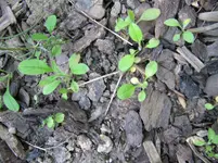 IMG_1455.webp