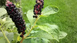2011-08-16_18-08-07_171.webp