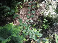 K1024_003.webp