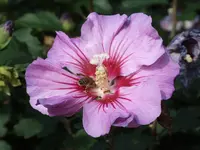 DSCF4208.webp