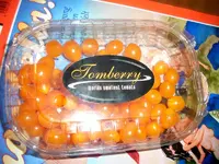 tomberry2.webp
