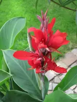 001.webp