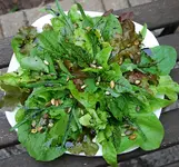 salatorgie.webp