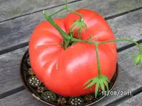 BILD0163.webp