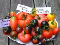 BILD0164.webp