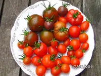 BILD0165.webp
