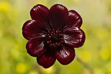 17.8.11 (30 von 165).webp