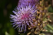 17.8.11 (141 von 165).webp