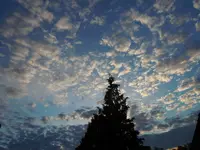 209.webp