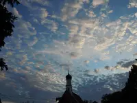 210.webp
