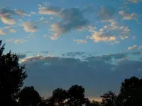 216.webp
