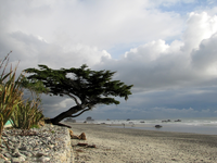 Westkueste.webp