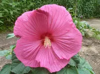 P1110520.webp
