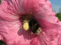 IMG_6558_1067x800.webp