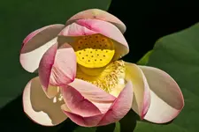 17.8.11 (2 von 63).webp