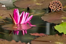 17.8.11 (14 von 63).webp