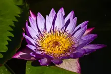 17.8.11 (26 von 63).webp
