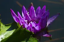 17.8.11 (40 von 63).webp