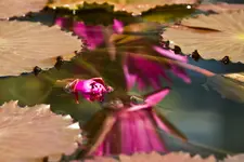 17.8.11 (51 von 63).webp