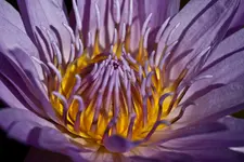 17.8.11 (46 von 63).webp