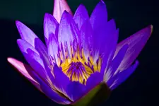 17.8.11 (53 von 63).webp