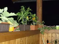 BalkonBeiNacht1_18082011.webp