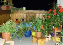 BalkonBeiNacht2_18082011.webp