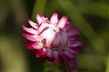 17.8.11 (34 von 165).webp