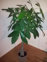 2011-08-18 22.40.05.webp