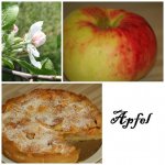 collage apfel 2.jpg