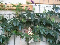 K1024_007 (2).webp