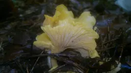 09082011094.webp