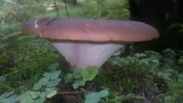 09082011095.webp