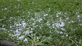 19082011105.webp