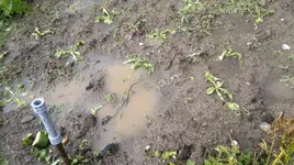 19082011109.webp