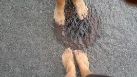 19082011110.webp