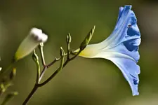 17.8.11 (41 von 63).webp