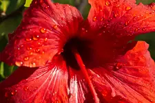 17.8.11 (36 von 165).webp