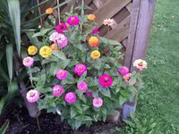 IMG351.webp