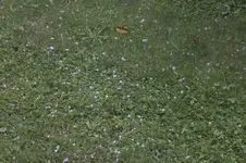 IMG_6163.webp