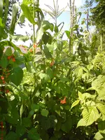 DSC01054.webp
