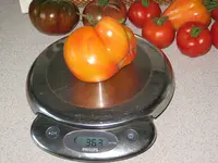 55 (3).webp