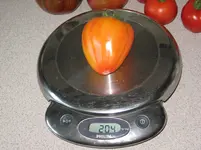 55 (4).webp