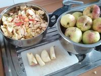 k-Apfel1.webp