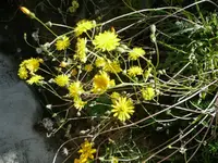 P1040329-1.webp