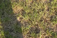 Bild 577 (Medium).webp
