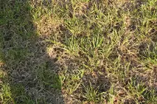Bild 577 (Large).webp