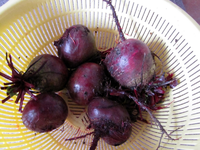 Rote Bete.webp