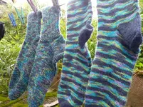 Socken7 (1).webp