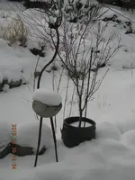 DSCN0314.webp